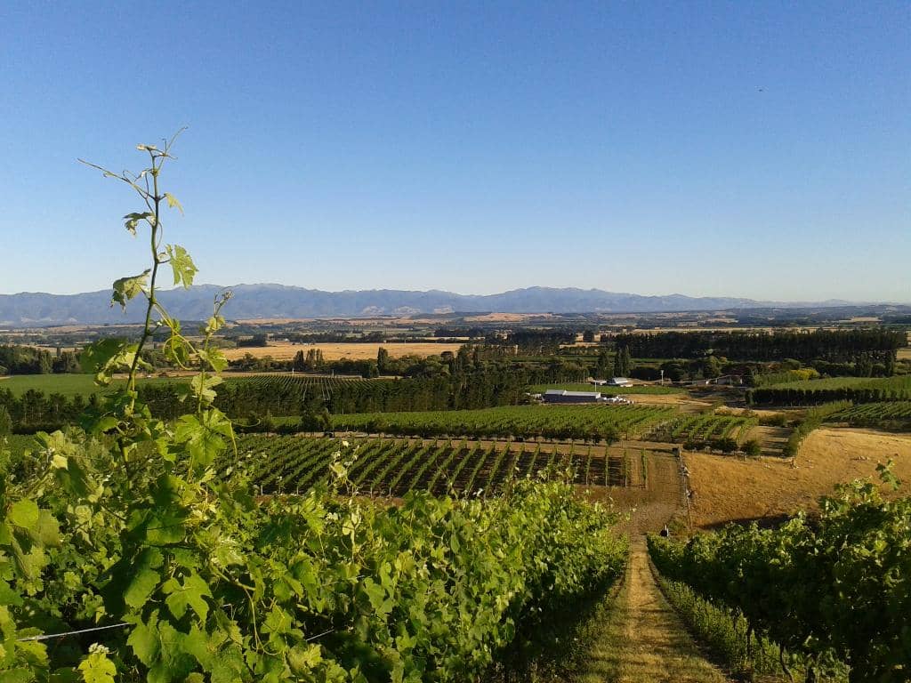 Exceptional Wine Tastings