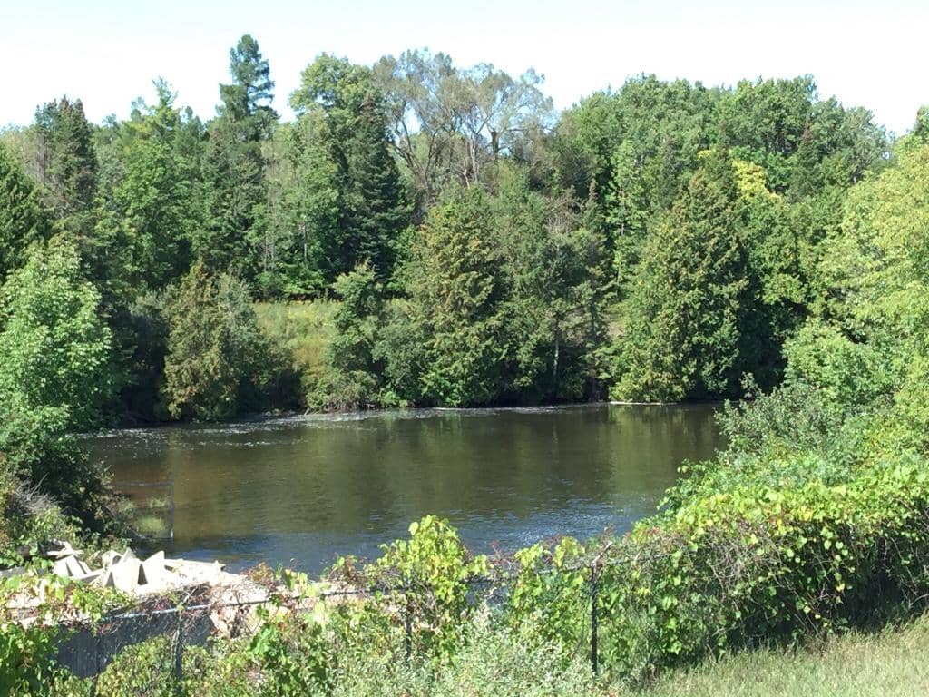 Cedar Cathedral Trail