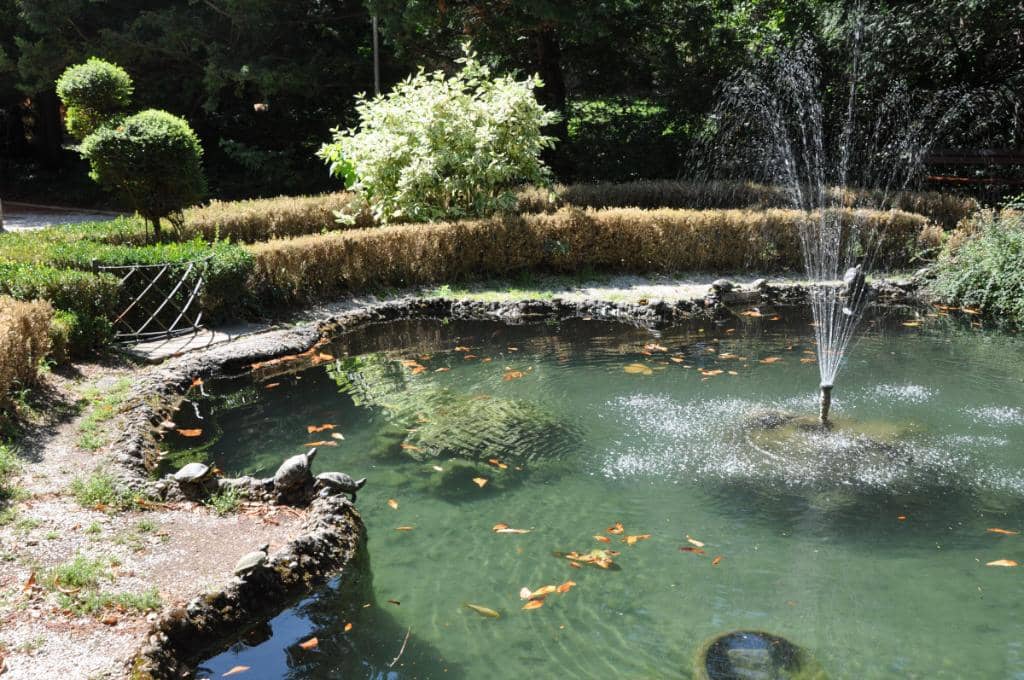 Panoramic City and Sea Views