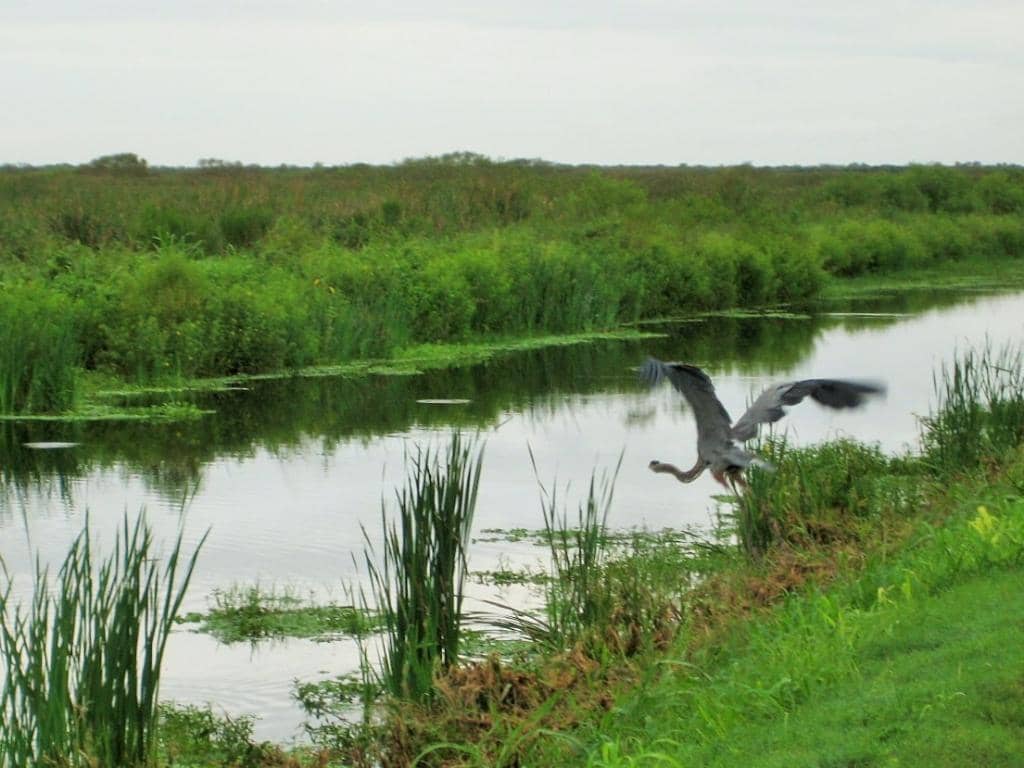 Birdwatching Paradise