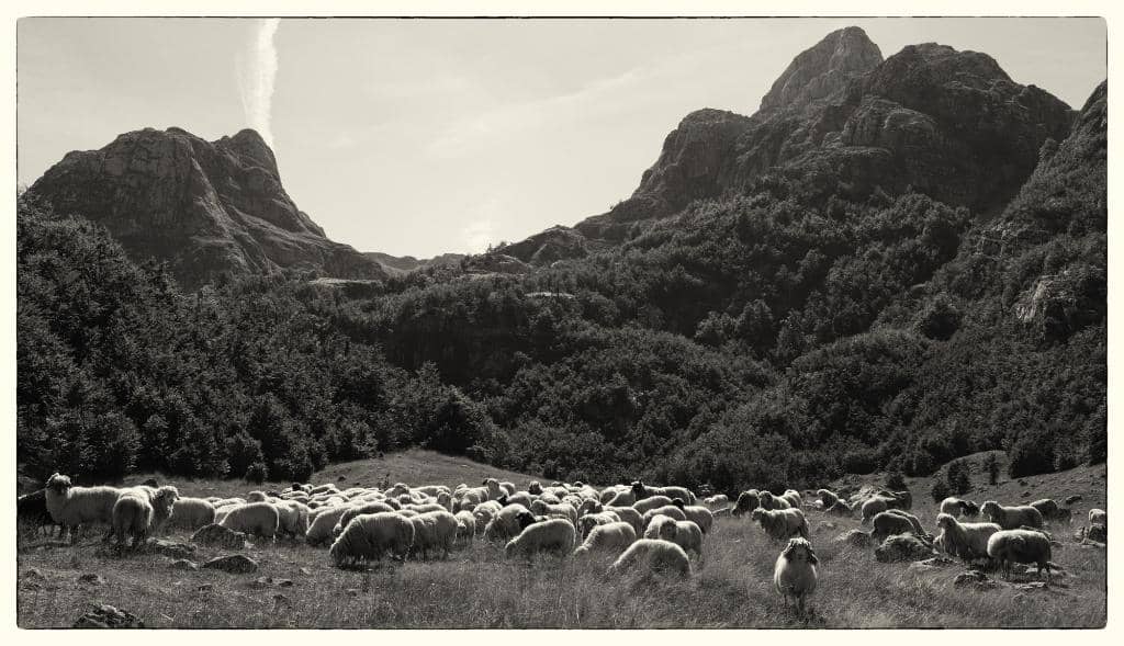 Crystal Clear Waters