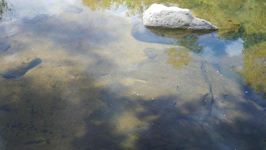 Tamirabarani River