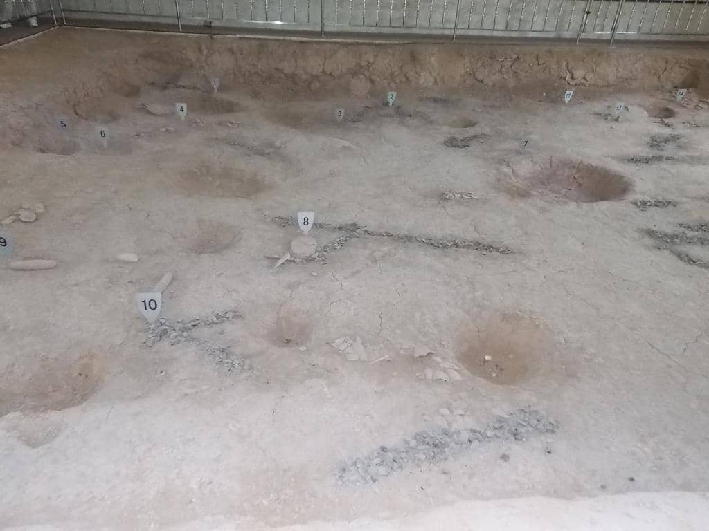 Cultural Evolution Displays