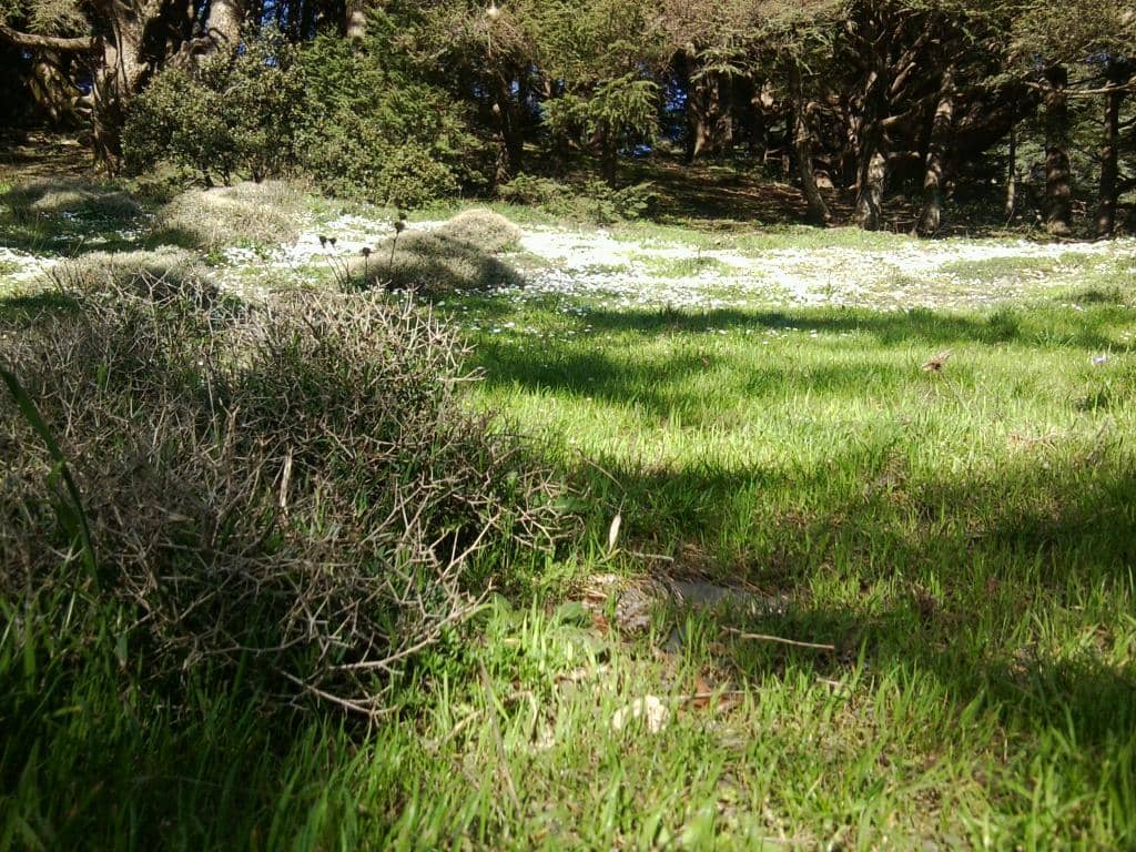 Winter Wonderland & Skiing