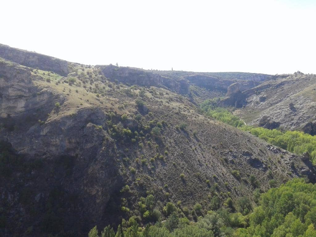 Wildlife Spotting Opportunities