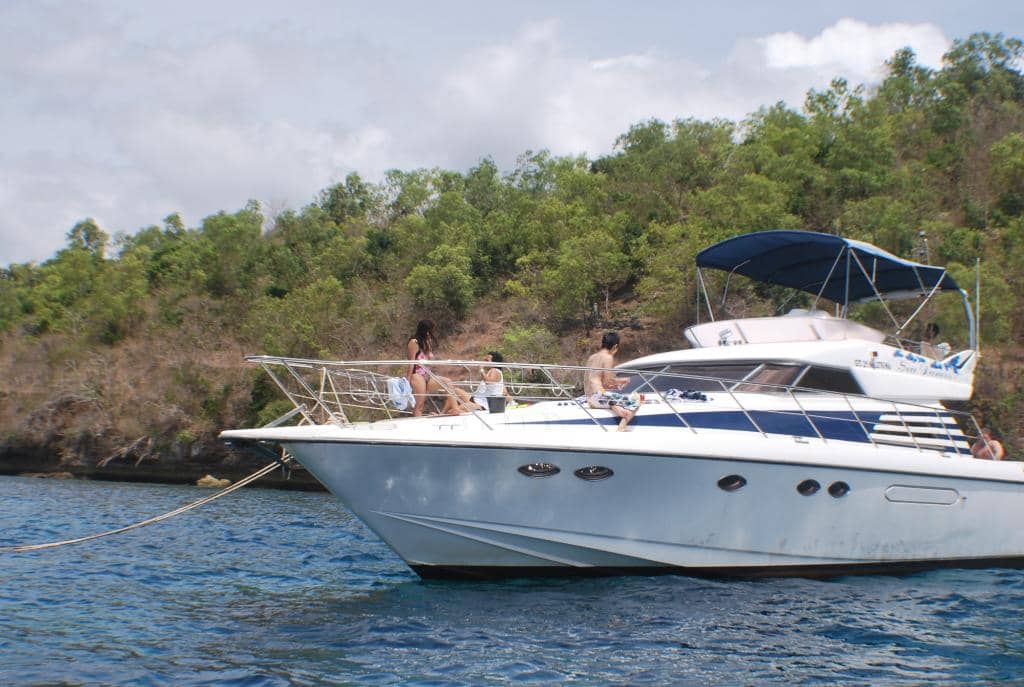 Turtle Conservation Area