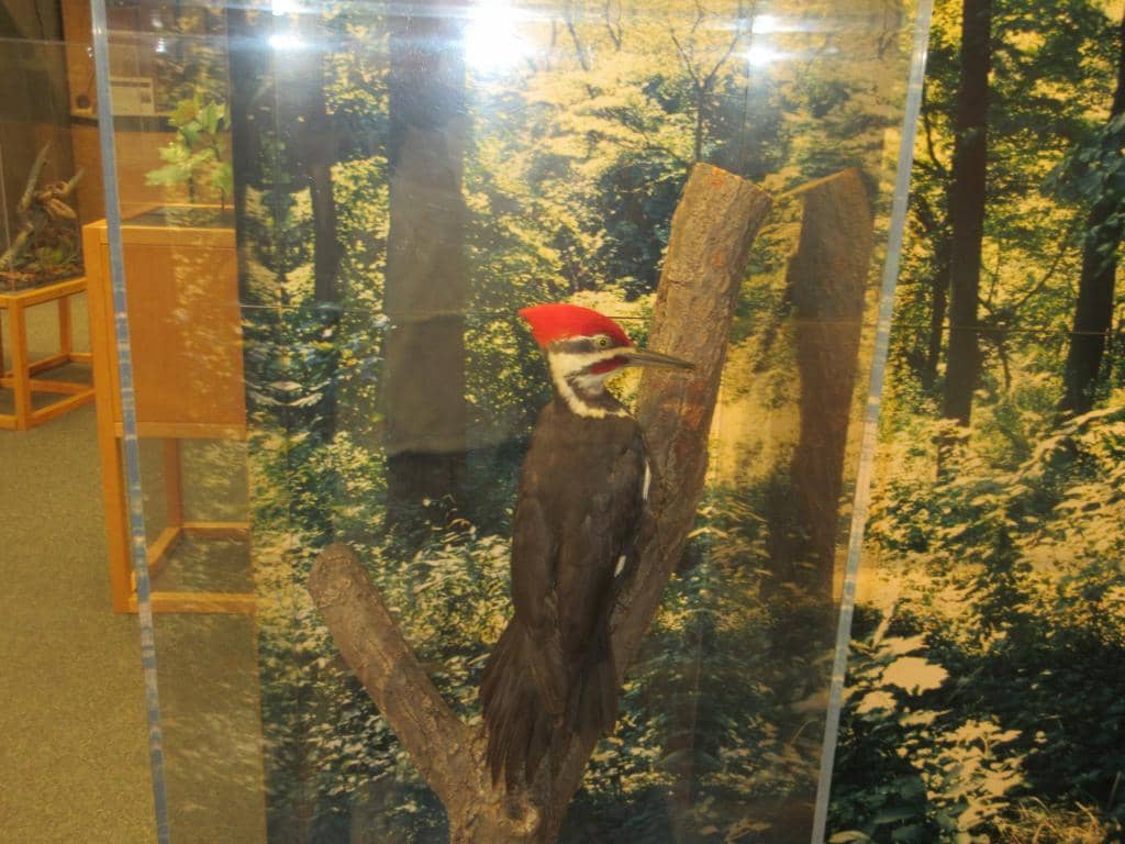 Vertical photo