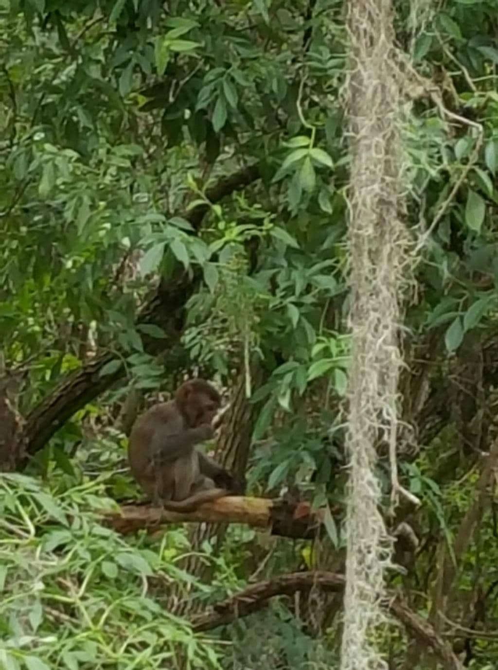 Confluence of Rivers