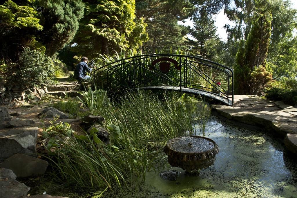 Views of Arthur's Seat