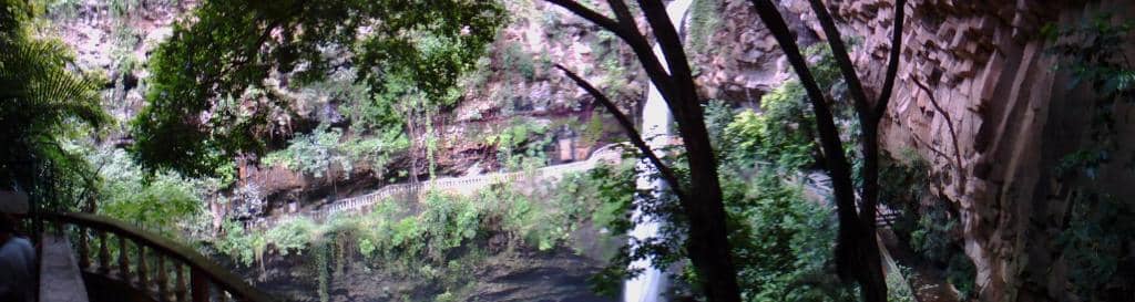 Vertical photo