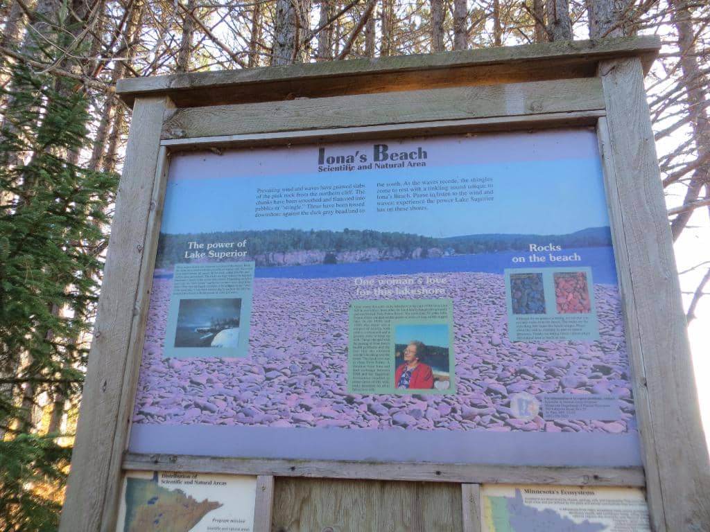 The Pink Shoreline