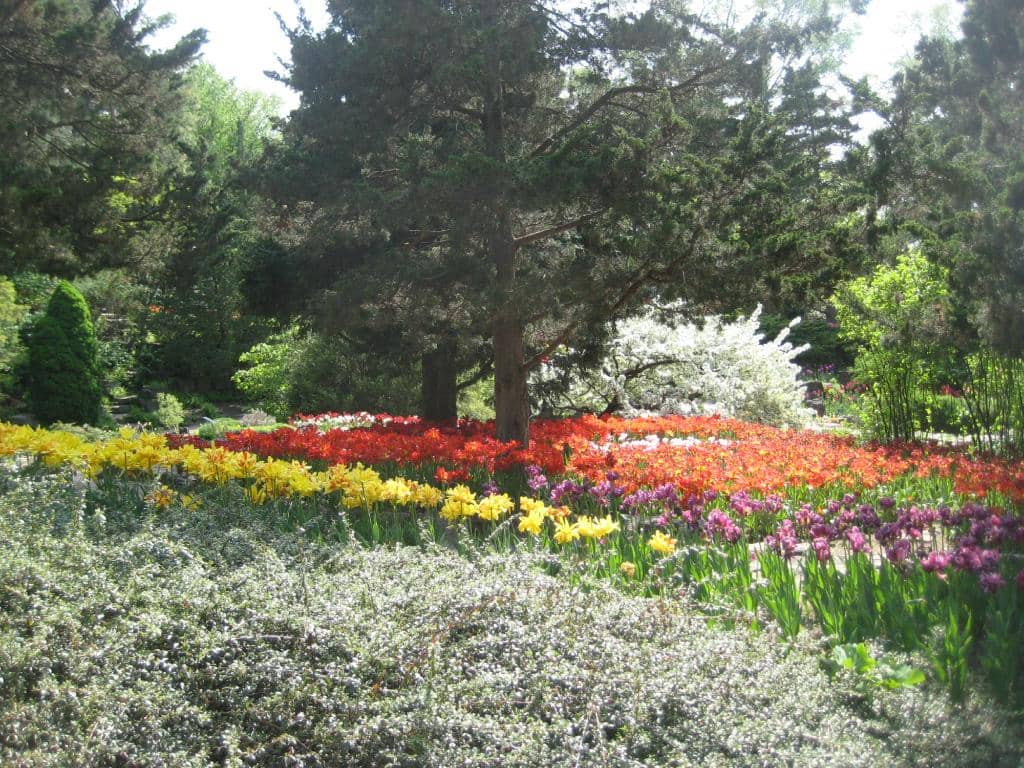 Tranquil Pond Overlooks
