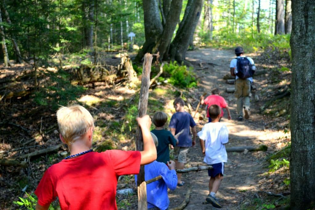 Goat Grazing Program