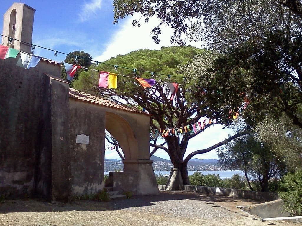 Vertical photo