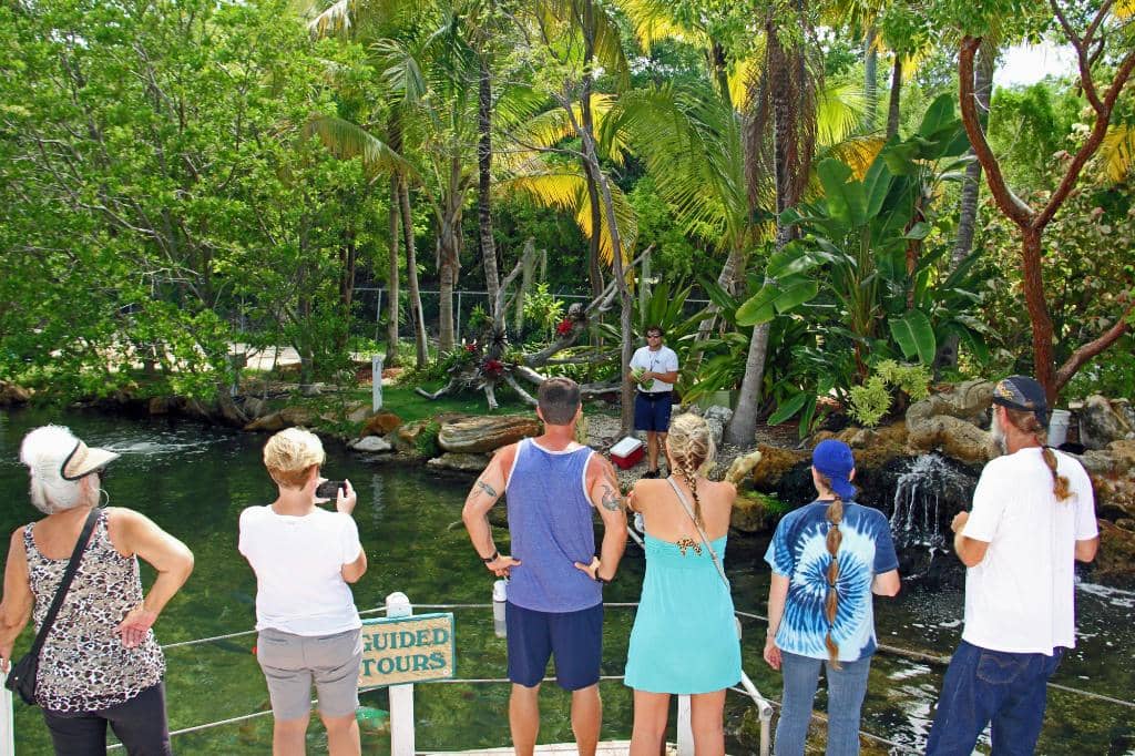 Cultural Events & Galas