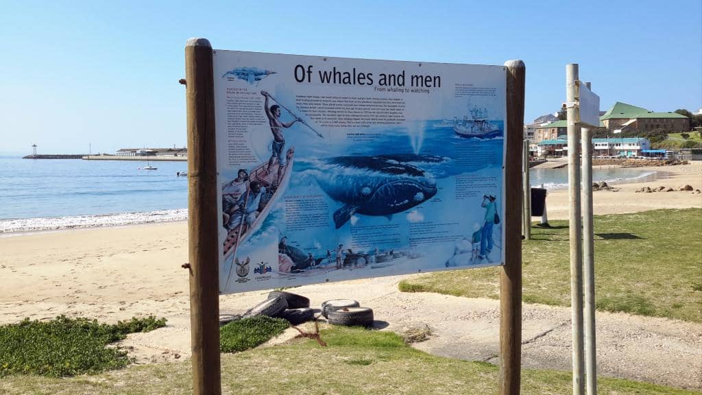 Spectacular Sunrise Views