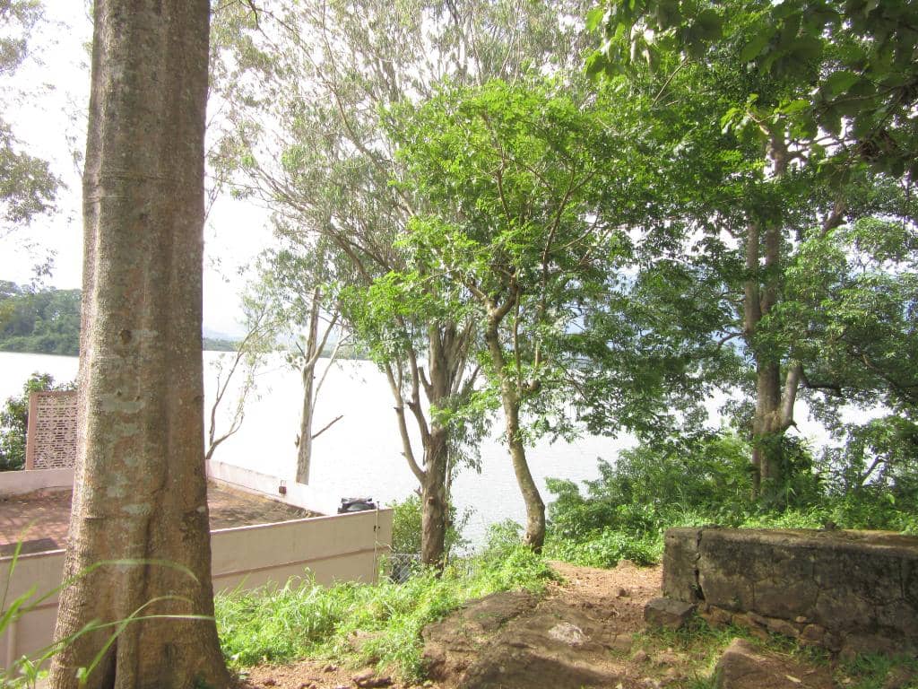 Nearby Waterfalls