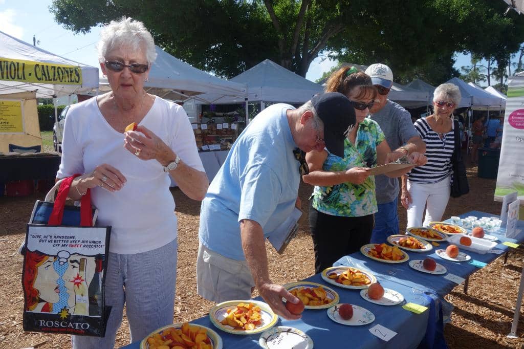 Food Vendor Delights