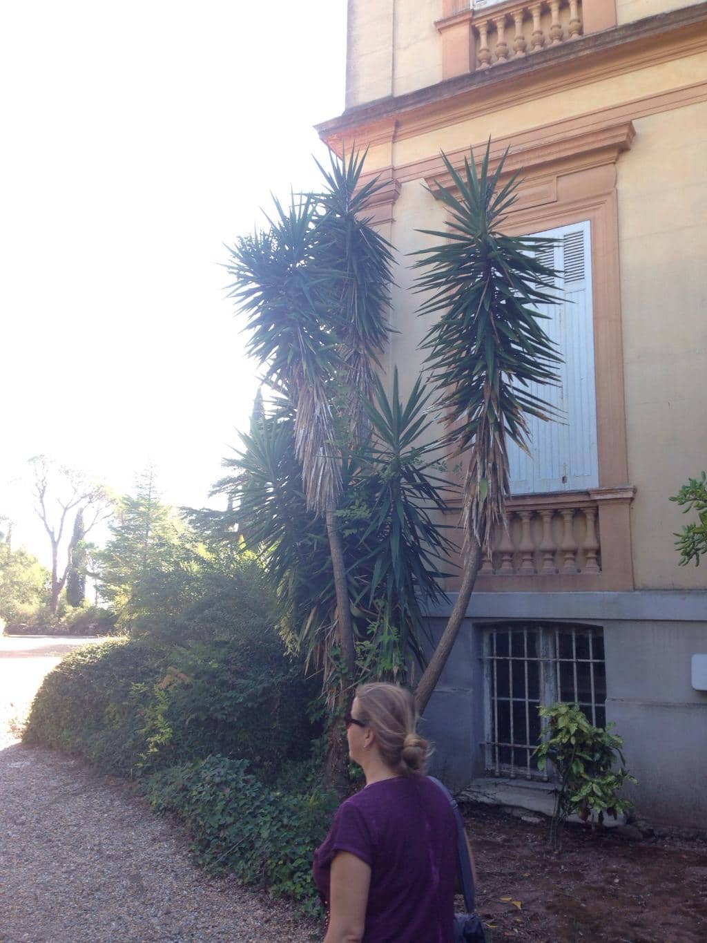 Historical Significance