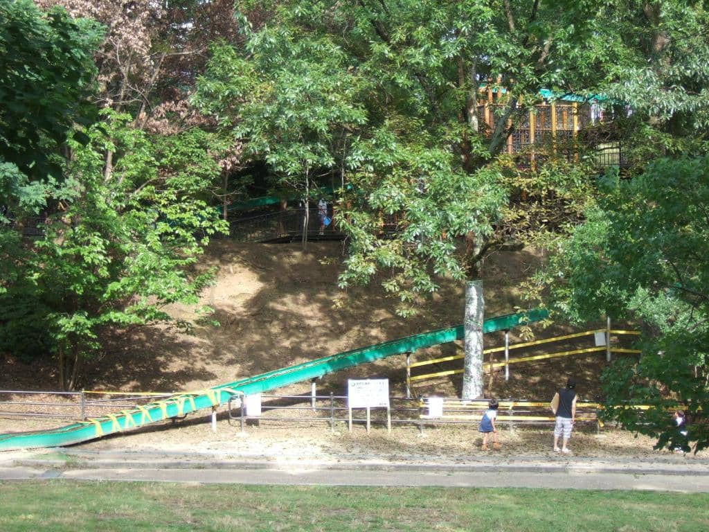 Tranquil Pond and Wildlife