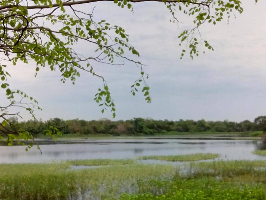 Panoramic Lake Views