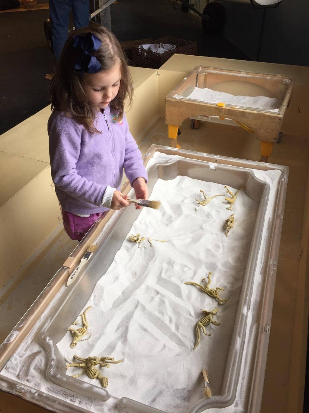 Art & Science Stations