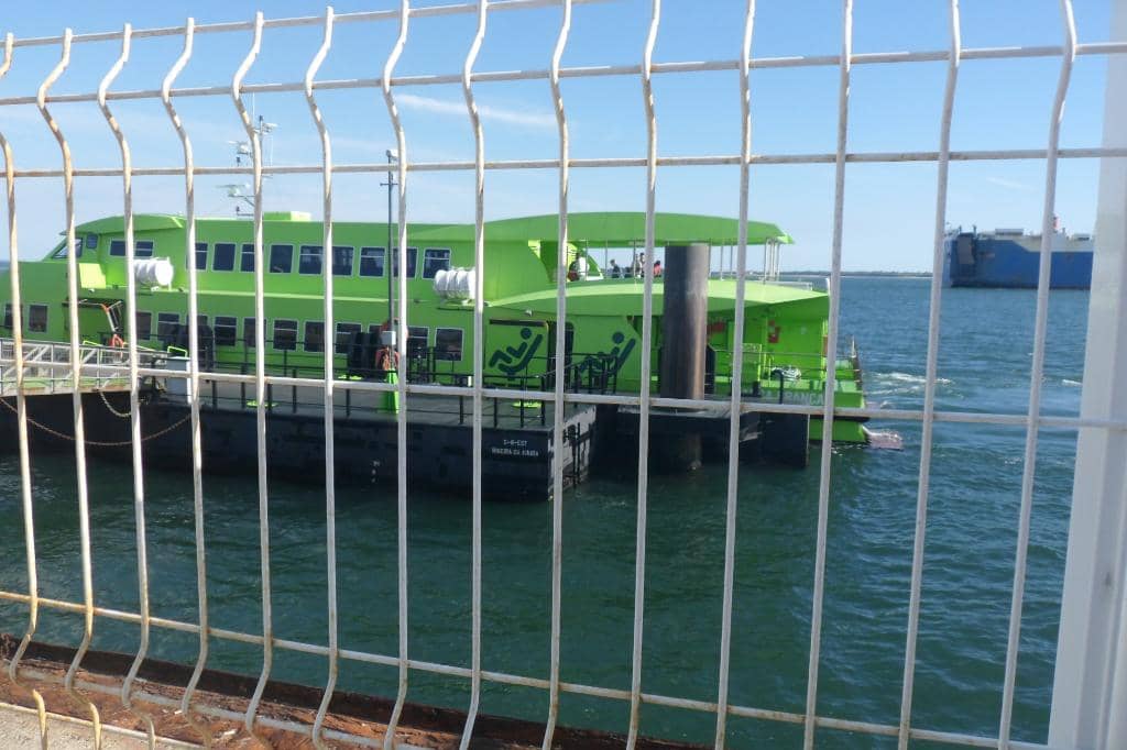 Parque de Luísa Todi