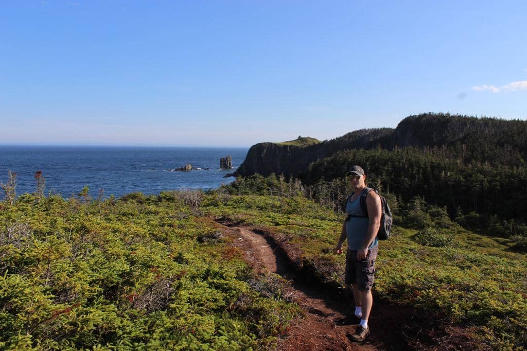 Coastal Cliffs and Eagles