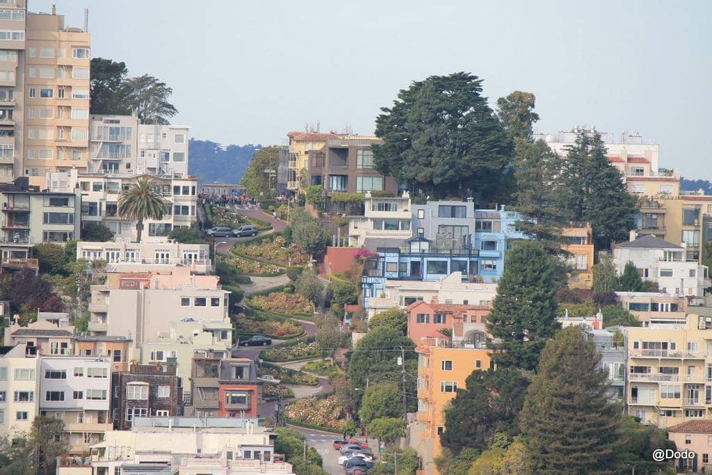 Beautifully Landscaped Gardens