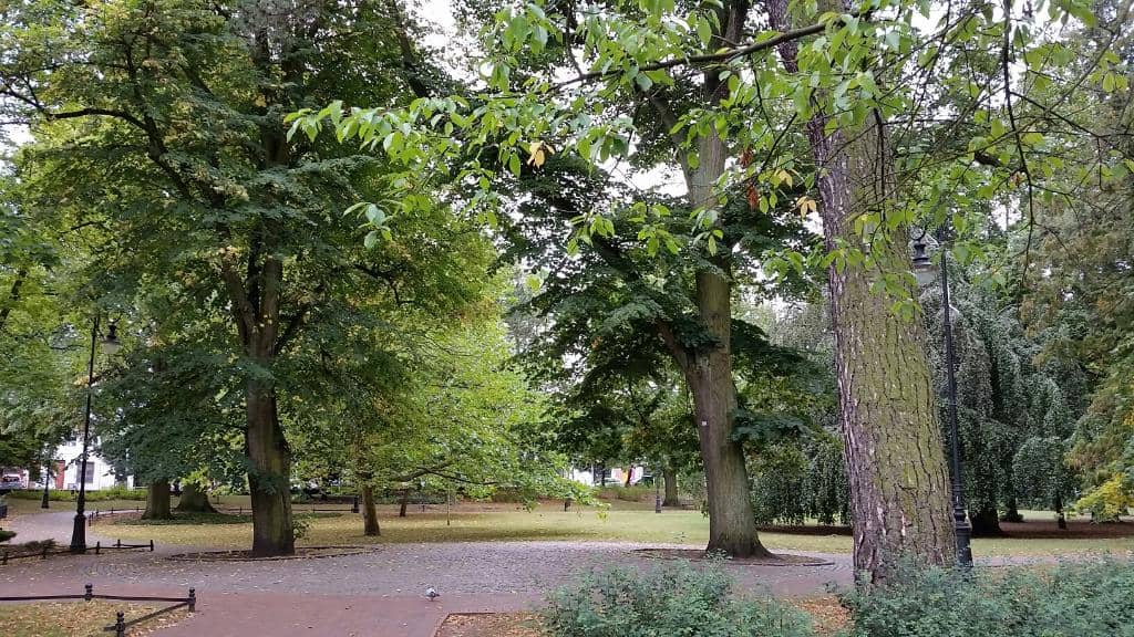 The Palace Gardens