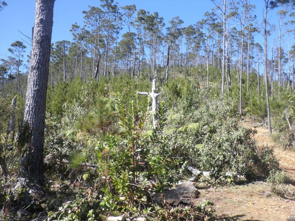 Valle del Tetero
