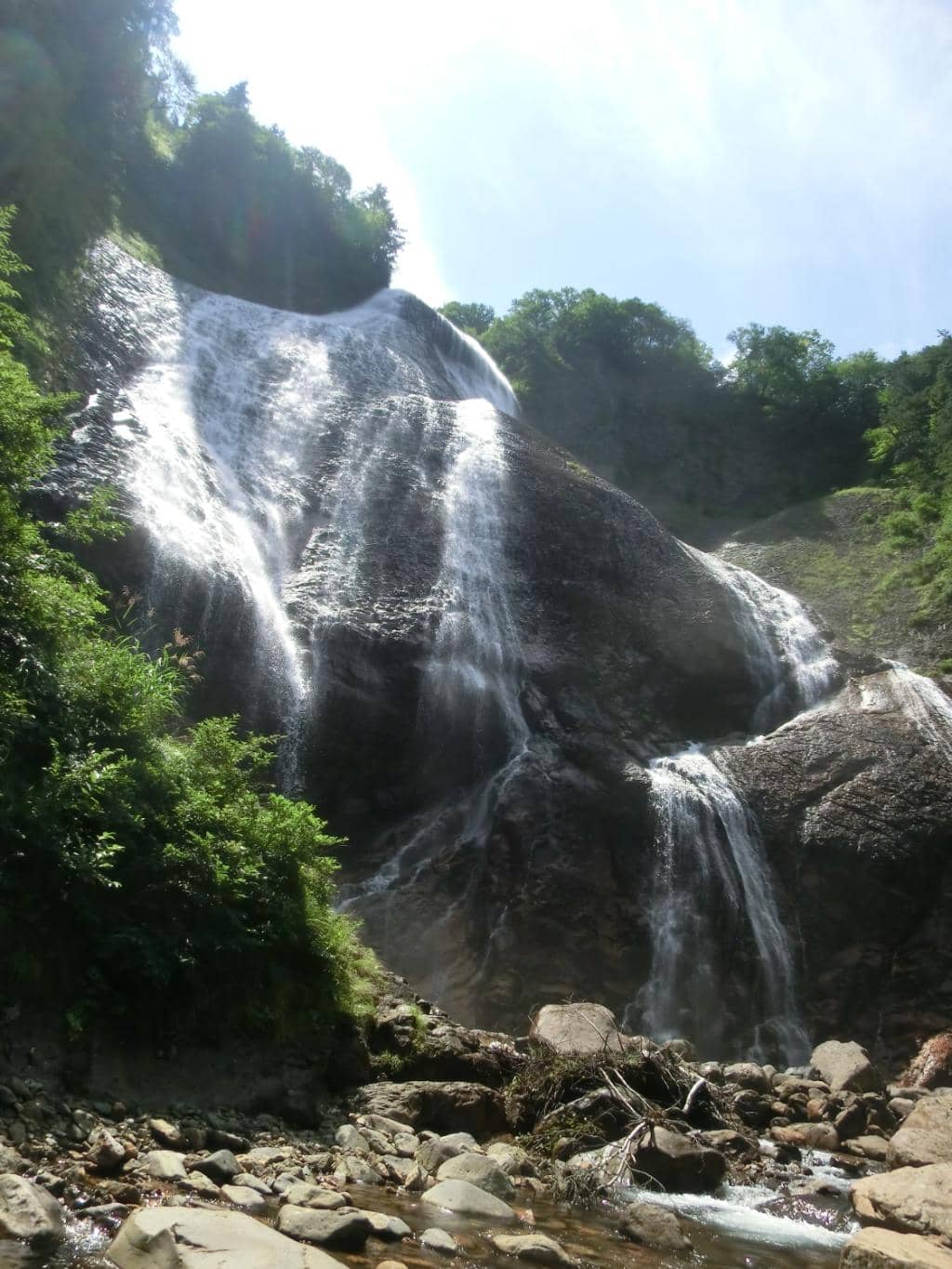 Vertical photo