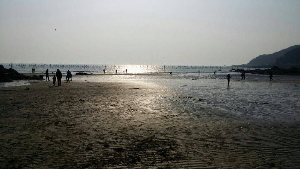 Expansive Sandy Shores