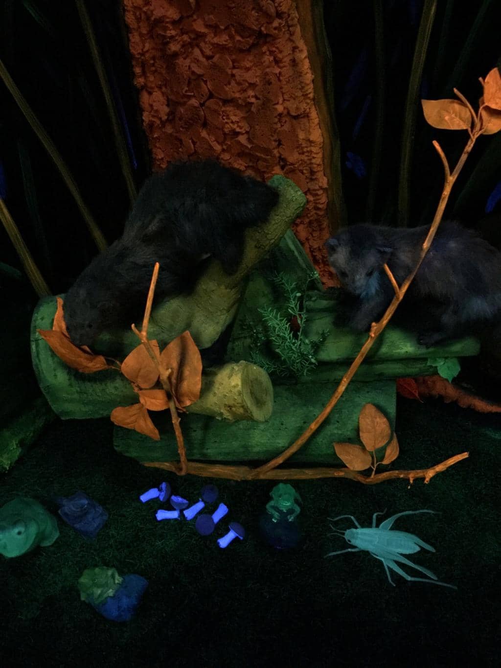 Kid-Friendly Fun