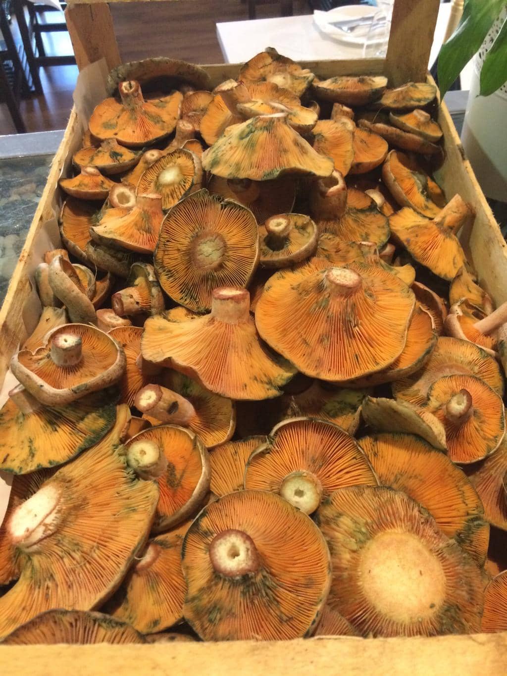 Exceptional Seafood