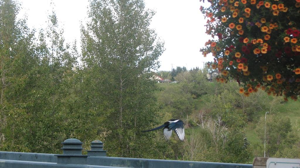 Children's Playground