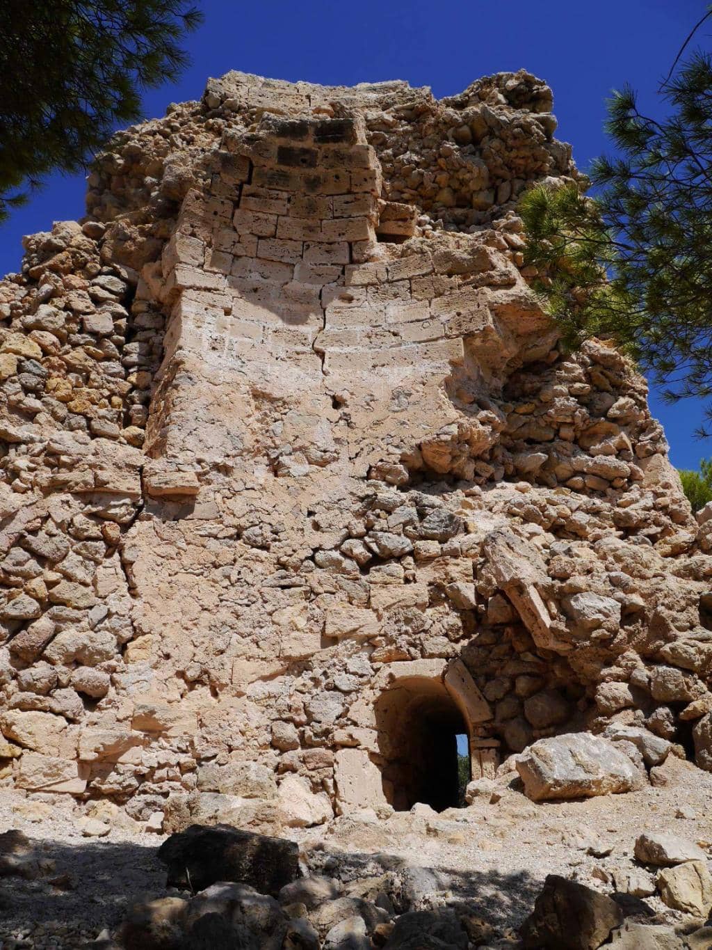 Vertical photo