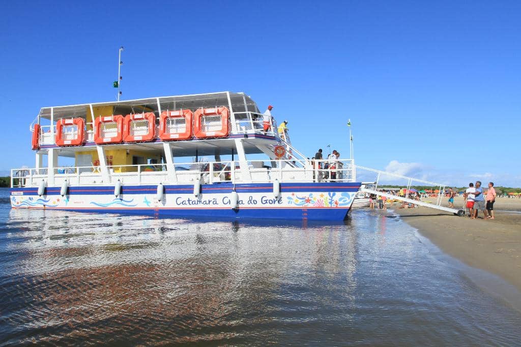 Mangrove Scenery