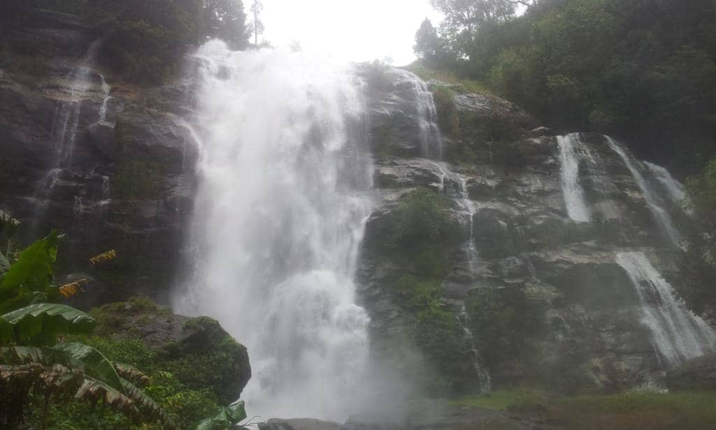 The Roaring Cascade