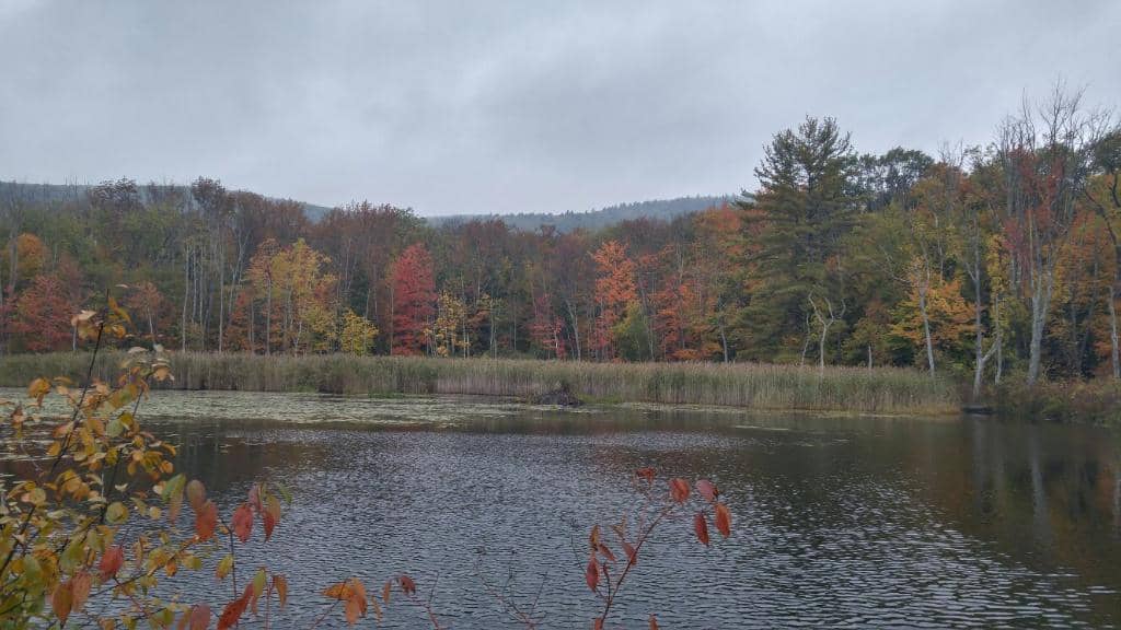 Accessible Trails