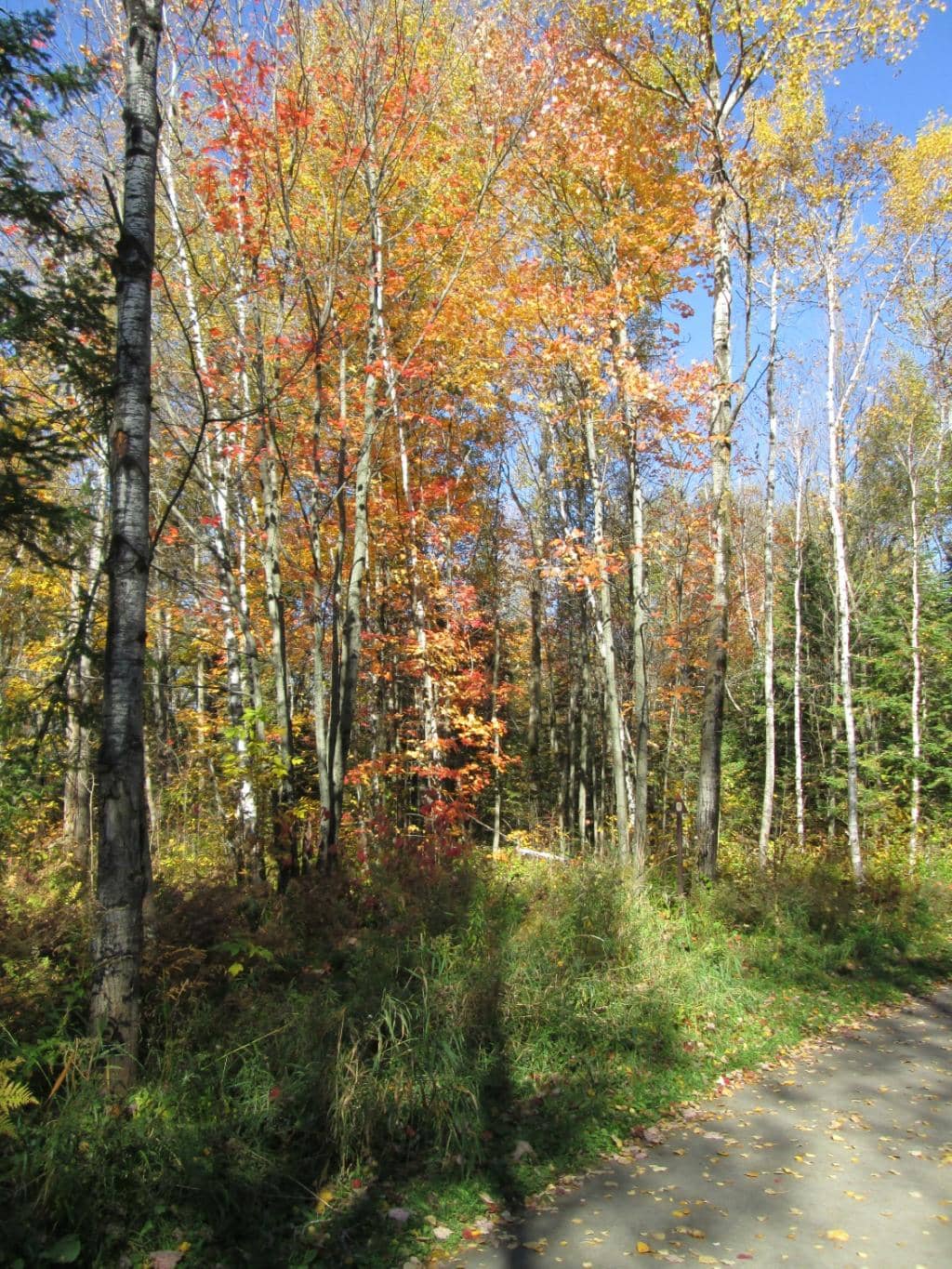 Scenic Power Canal Trail