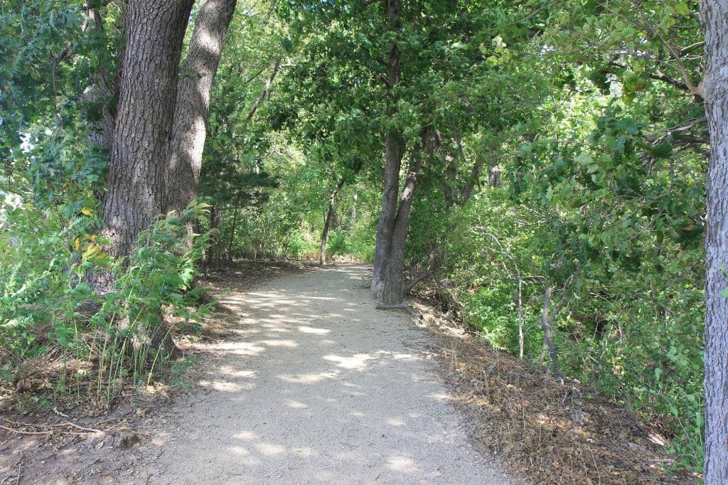 Sports Fields Galore