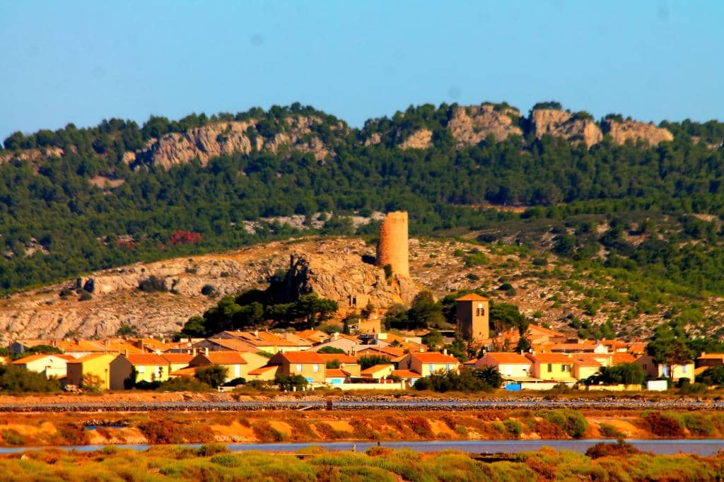 Watchtower Viewpoint