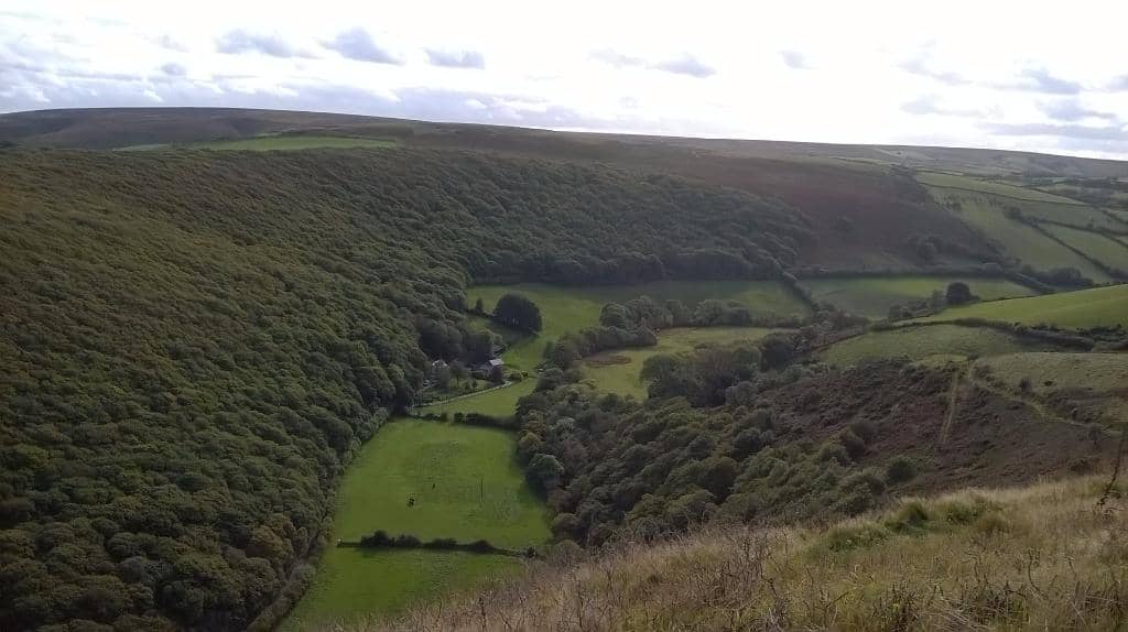 Doone Valley Woods