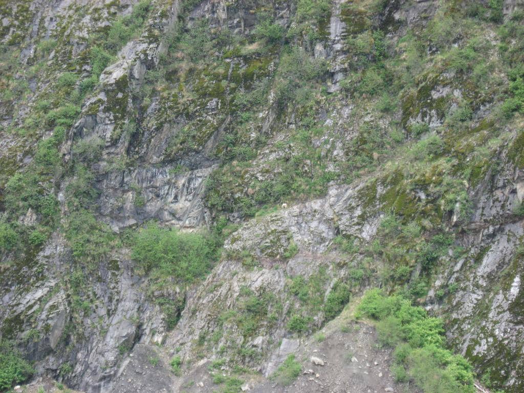 Harding Icefield Trail