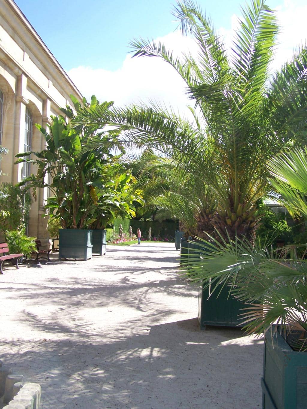 Tropical Greenhouse
