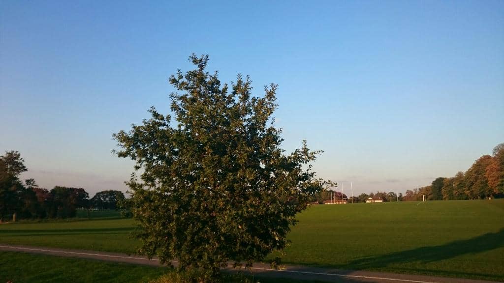 Adventure Playground