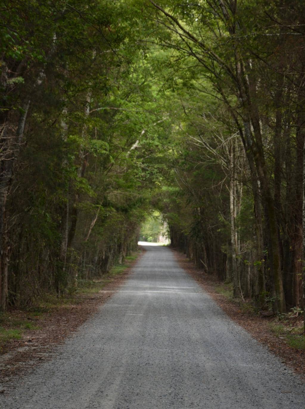 The Gravel Road Drive