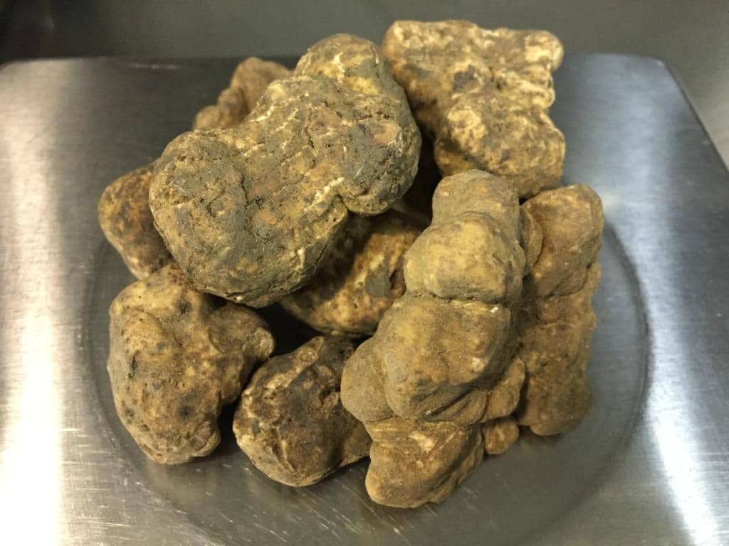 Affordable Weekday Lunch Menu