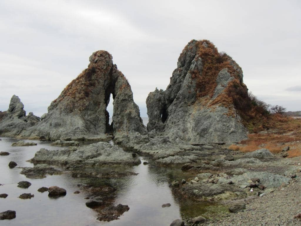 Vertical photo
